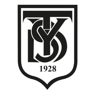 türkiye yardım sevenler derneği Logo PNG Vector