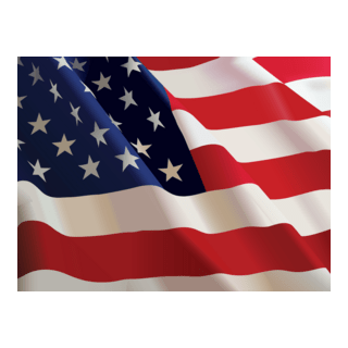 US Flag Logo PNG Vector