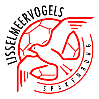 V.V. IJsselmeervogels Logo PNG Vector