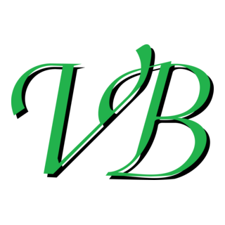 VB Logo PNG Vector