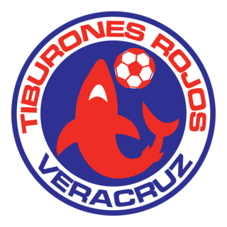 Veracruz Logo PNG Vector
