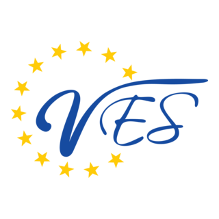 VES Logo PNG Vector