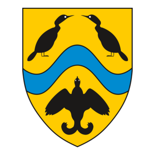 Viborg Logo PNG Vector