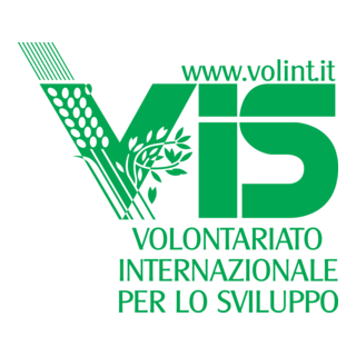 VIS Logo PNG Vector