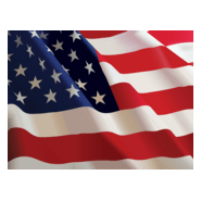 US Flag Logo PNG Vector