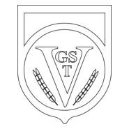 VGST Logo PNG Vector