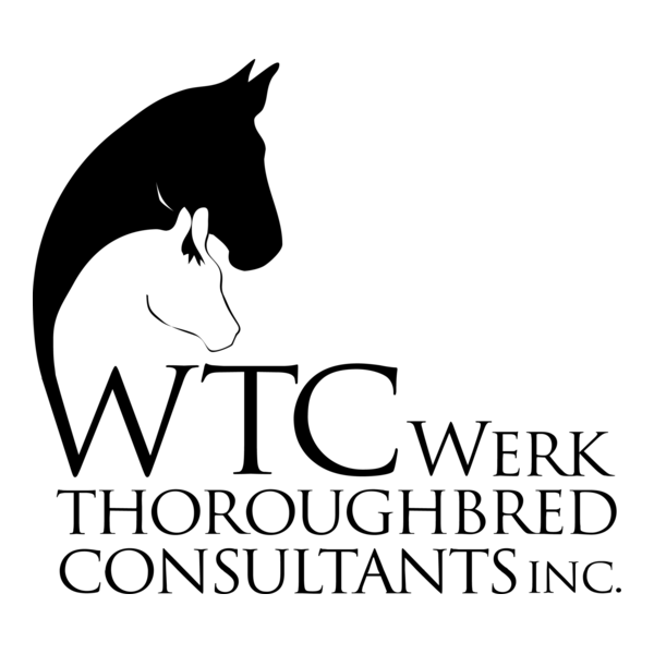 WTC Logo PNG Vector
