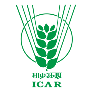 ICAR Logo PNG Vector