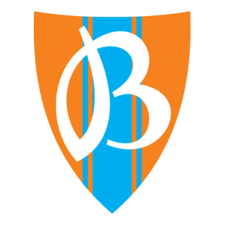 Vityaz Logo PNG Vector