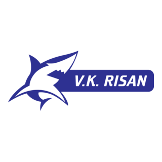 VK RISAN Logo PNG Vector