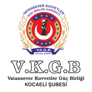 vkgb Logo PNG Vector