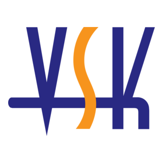 VSK Logo PNG Vector