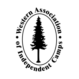 WAIC Logo PNG Vector