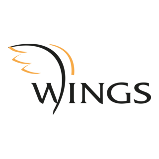 Wings Logo PNG Vector