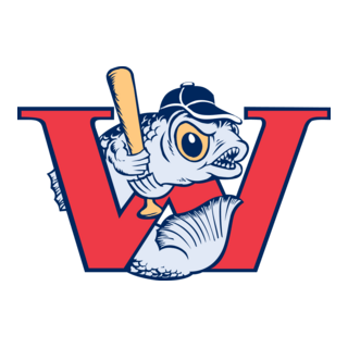 Winnipeg Goldeyes Logo PNG Vector