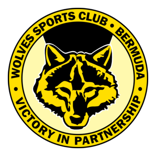 Wolves Sports Logo PNG Vector