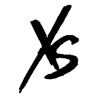 XS Logo PNG Vector