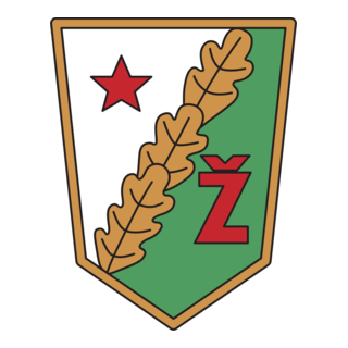 Zhalgiris Vilnus 80's Logo PNG Vector
