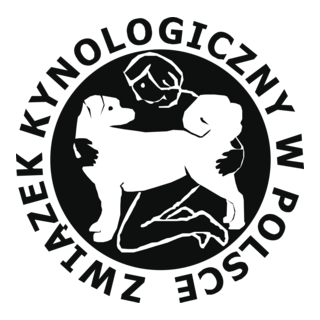 ZKWP Logo PNG Vector