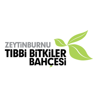 zttb Logo PNG Vector