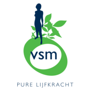 VSM Logo PNG Vector