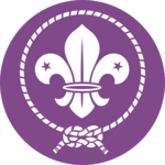 World Organization of the Scout Movement Logo PNG Vector