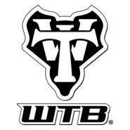 wtb Logo PNG Vector