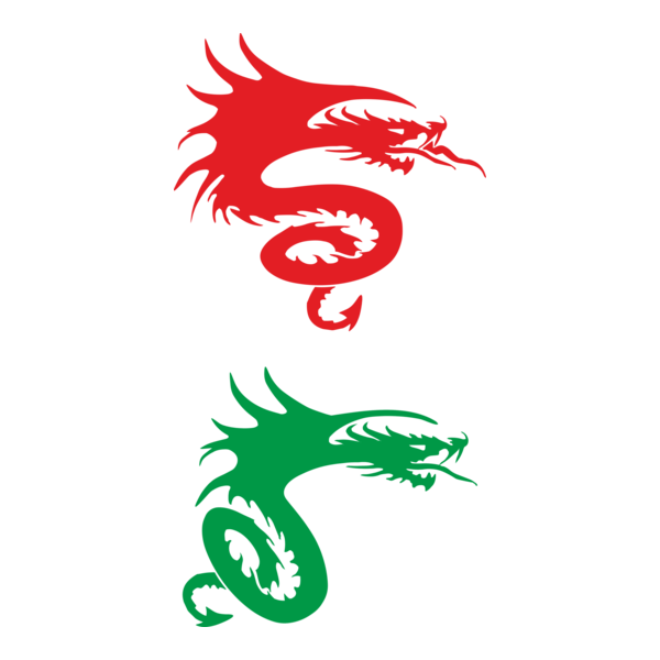 Dragon Logo PNG Vector