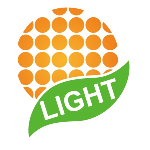 Light Logo PNG Vector