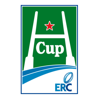 Heineken HCup Logo PNG Vector