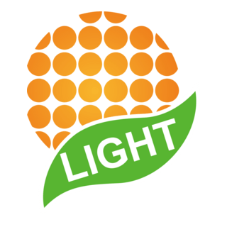Light Logo PNG Vector