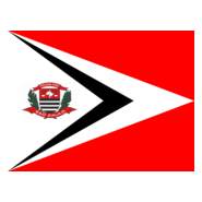 bandeira polícia civil de são paulo Logo PNG Vector