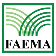 FAEMA Logo PNG Vector