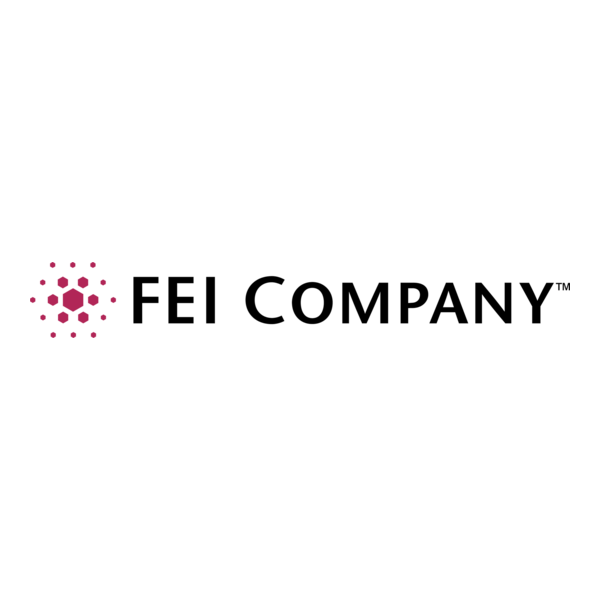 FEI Company Logo PNG Vector