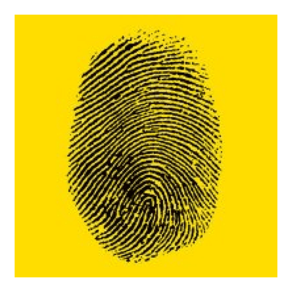 iD_Marketing Logo PNG Vector