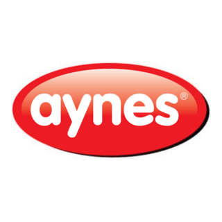 Aynes Logo PNG Vector