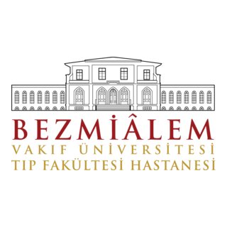 Bezmialem Vakıf Üniversitesi Logo PNG Vector