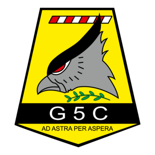 Grupo 5 de Caza Logo PNG Vector