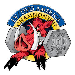 LV-DVG America 2010 Championship Logo PNG Vector