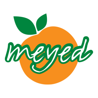 MEYED Logo PNG Vector
