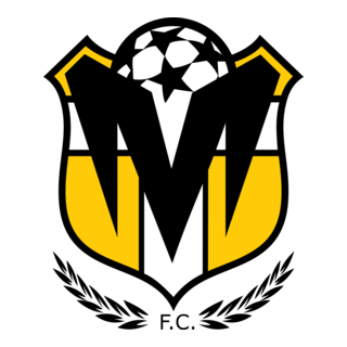 Mineirão FC Logo PNG Vector
