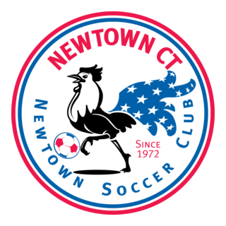 Newtown Soccer Club Rooster Logo PNG Vector