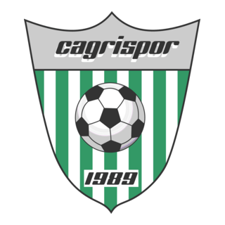 Nuernberg Cagrispor Logo PNG Vector