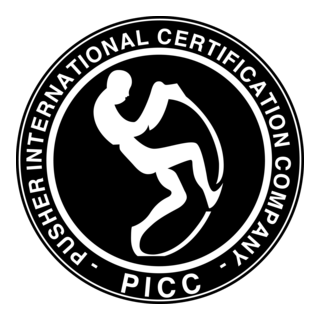 PICC Logo PNG Vector