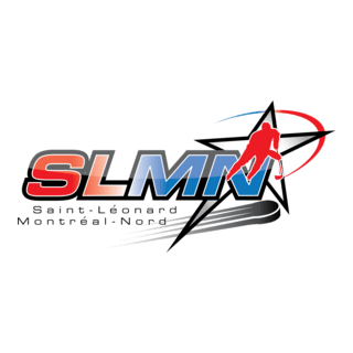 SLMN Logo PNG Vector