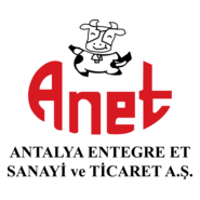 Anet Logo PNG Vector