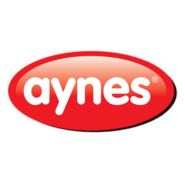 Aynes Logo PNG Vector