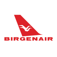 Birgenair Logo PNG Vector