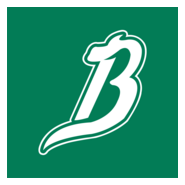 Broncos de Reynosa Logo PNG Vector