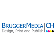 Bruggermedia Logo PNG Vector